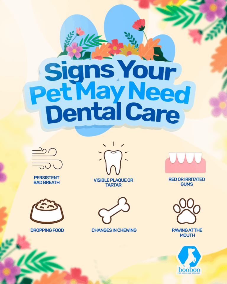 Signs your pet may need dental care