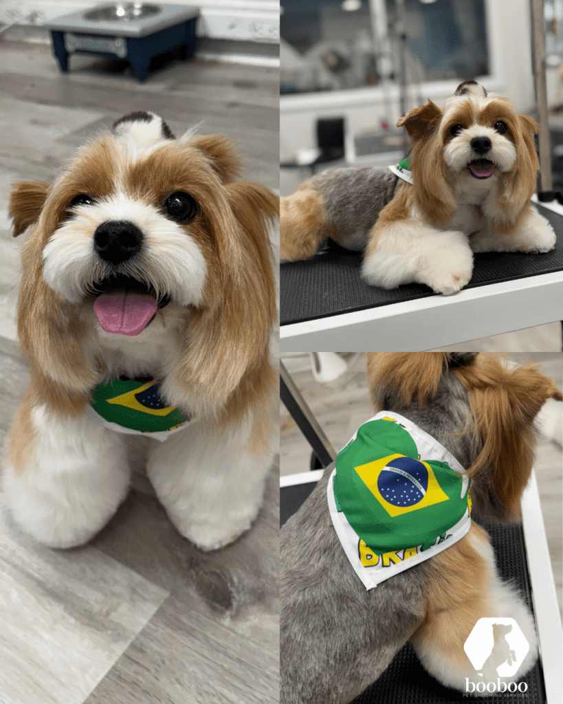 World Cup Toronto pet grooming