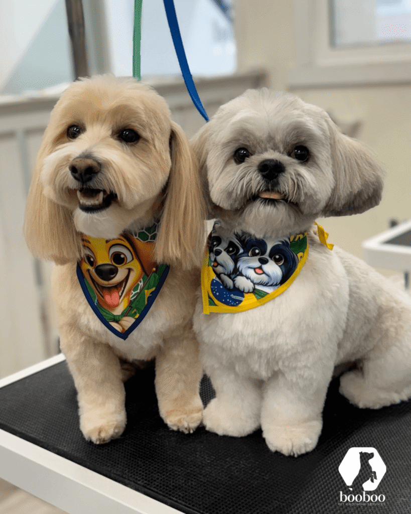 World Cup Toronto pet grooming