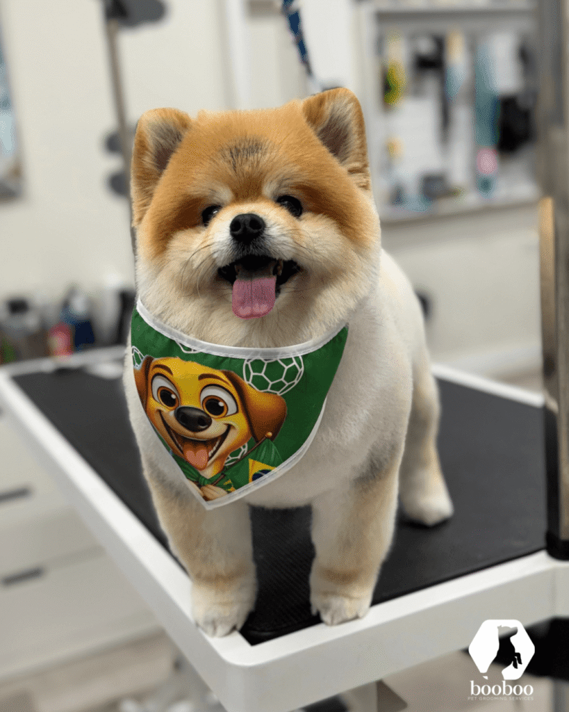 World Cup Toronto pet grooming