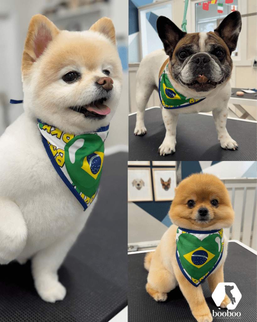 World Cup Toronto pet grooming