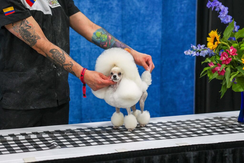 Mastergroom Canada 2026 BooBoo Pet Grooming