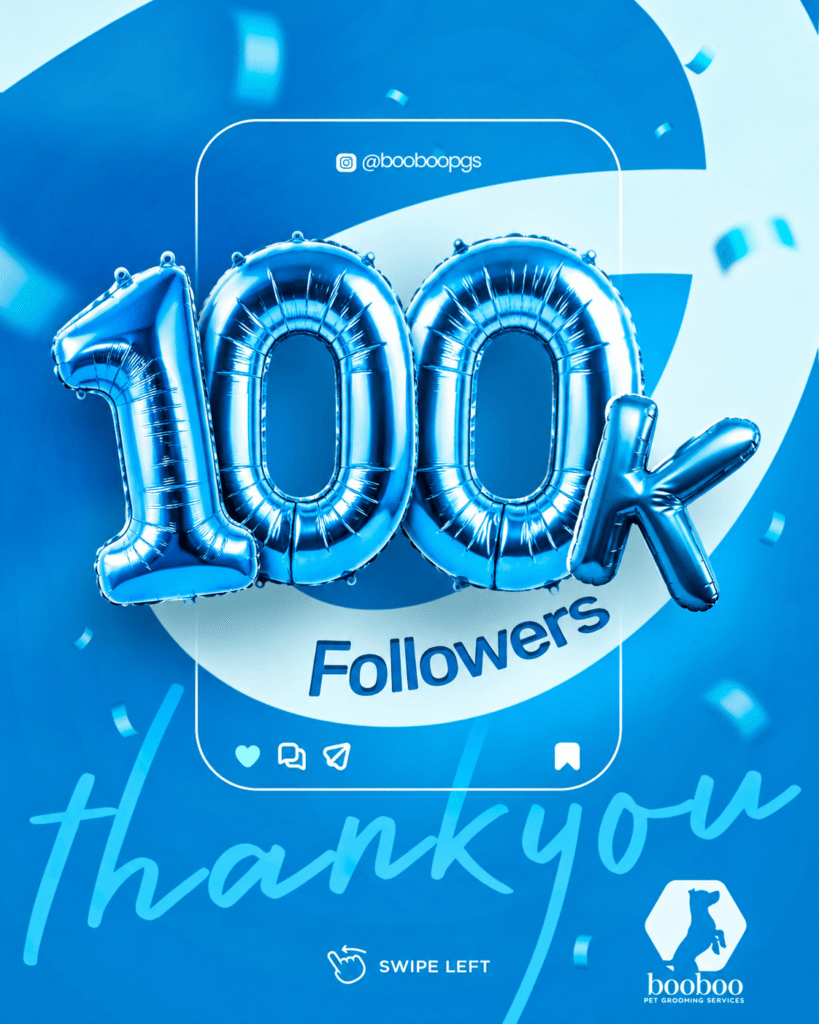 100k followers BooBoo Pet grooming